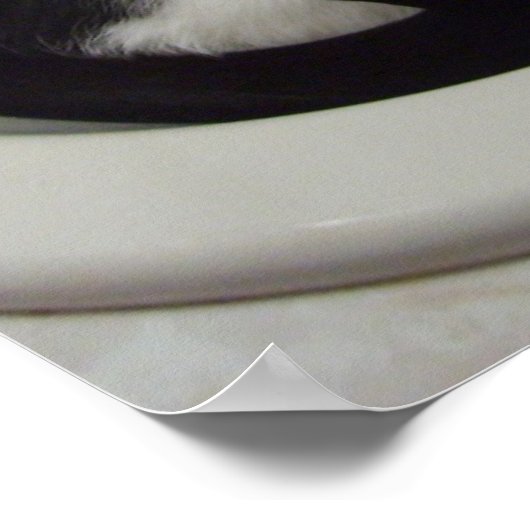 Cat in the sink ポスター (角)