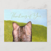 Cat in the Window  ポストカード (正面)