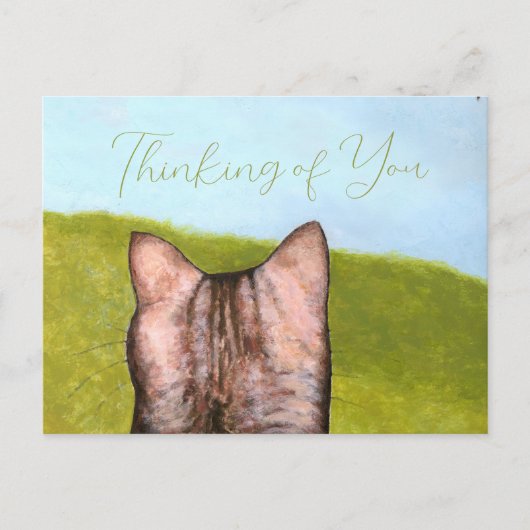 Cat in the Window  ポストカード (正面)