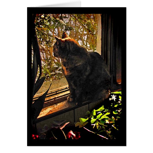 Cat in the Window 空白の Card (正面)