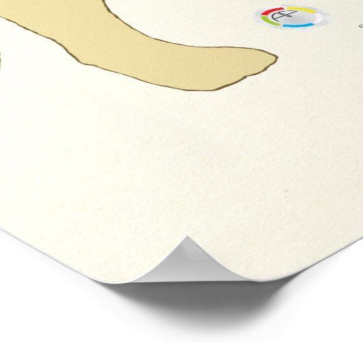 Cat Internal Female Anatomy Veterinary Chart ポスター (角)