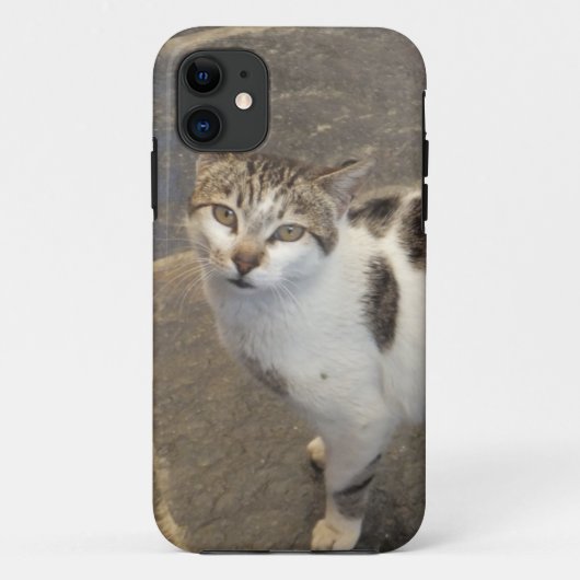 Cat iPhone 5ケース・メイト Case-Mate iPhoneケース (裏面)
