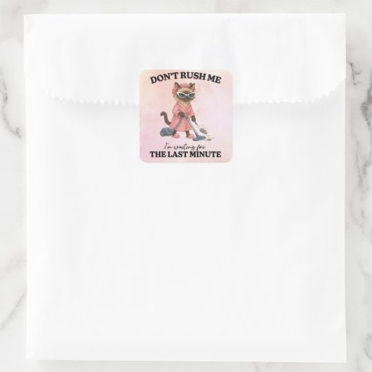 Cat is cleaning house スクエアシール (バッグ)