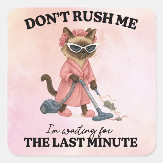 Cat is cleaning house スクエアシール (正面)