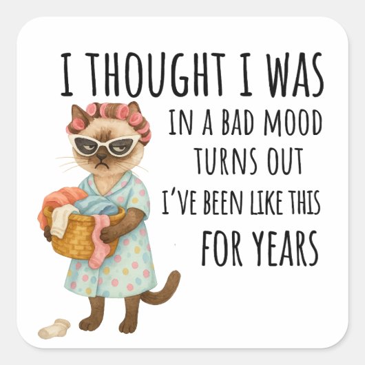 Cat is going to laundry スクエアシール (正面)