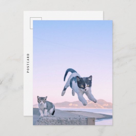 cat jump postcard ポストカード (正面/裏面)