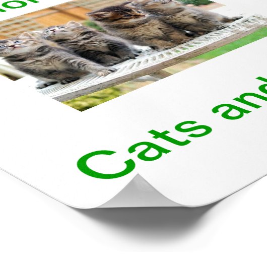 Cat & Kitten Adoption Todayサイン ポスター (角)