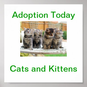 Cat & Kitten Adoption Todayサイン ポスター
