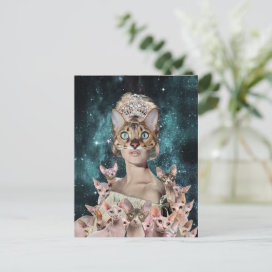 Cat Lady ポストカード (スタンド正面)