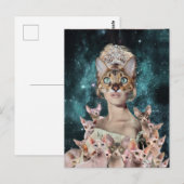 Cat Lady ポストカード (正面/裏面)