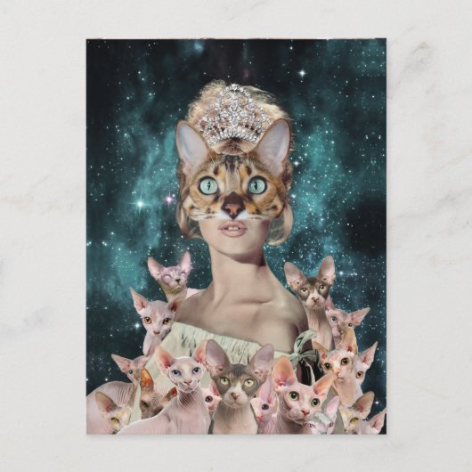 Cat Lady ポストカード (正面)