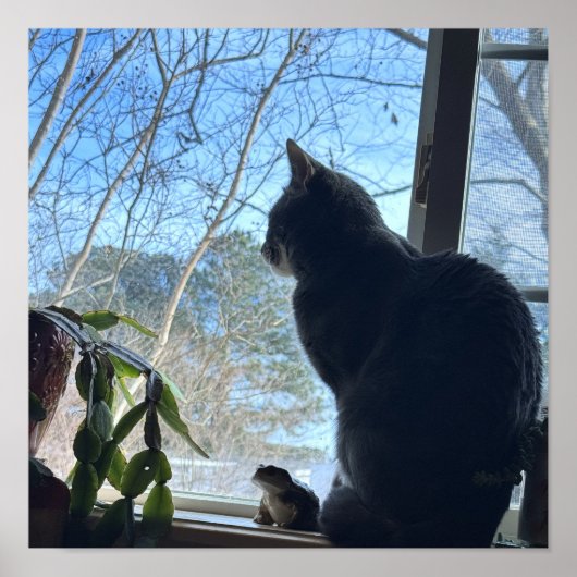 Cat Looking Out Window Poster ポスター (正面)