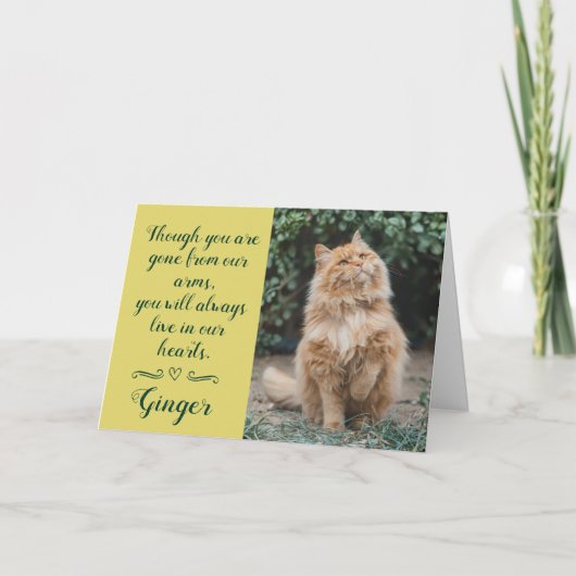 Cat Loss Sympathy Card Personalized Photo Pet Name カード (正面)
