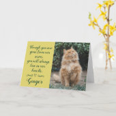 Cat Loss Sympathy Card Personalized Photo Pet Name カード (黄色い花)
