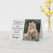 Cat Loss Sympathy Card Personalized Photo Pet Name カード (黄色い花)