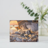 Cat lounging on couch with blanket and lamp シーズンポストカード (スタンド正面)