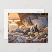 Cat lounging on couch with blanket and lamp シーズンポストカード (正面/裏面)