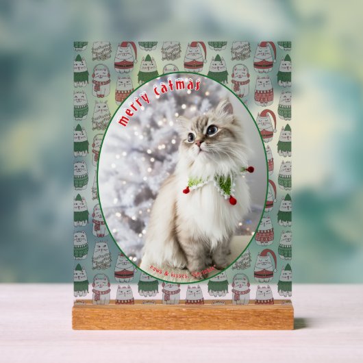 Cat Lover Cute Festive Cat Photo Christmas アクリルサイン (ニュートラル)
