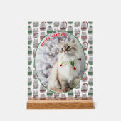 Cat Lover Cute Festive Cat Photo Christmas アクリルサイン (正面)