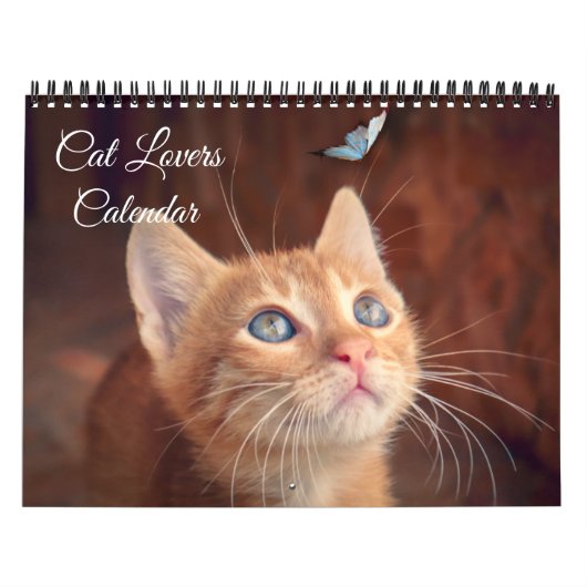 Cat Lovers Calendar カレンダー (カバー)