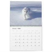 Cat Lovers Calendar カレンダー (1月 2026)