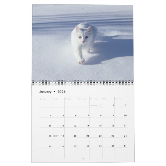 Cat Lovers Calendar カレンダー (1月 2026)