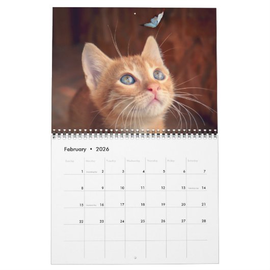 Cat Lovers Calendar カレンダー (2月 2026)