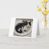 Cat lovers delight カード (黄色い花)