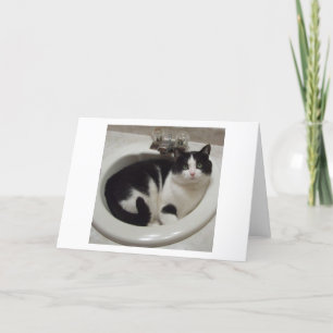 Cat lovers delight カード