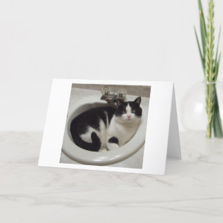 Cat lovers delight カード