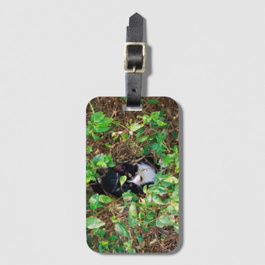 Cat Luggage Tag ラゲッジタグ (正面縦)