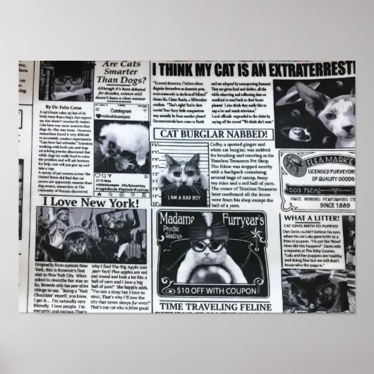 Cat Magazine ポスター (正面)