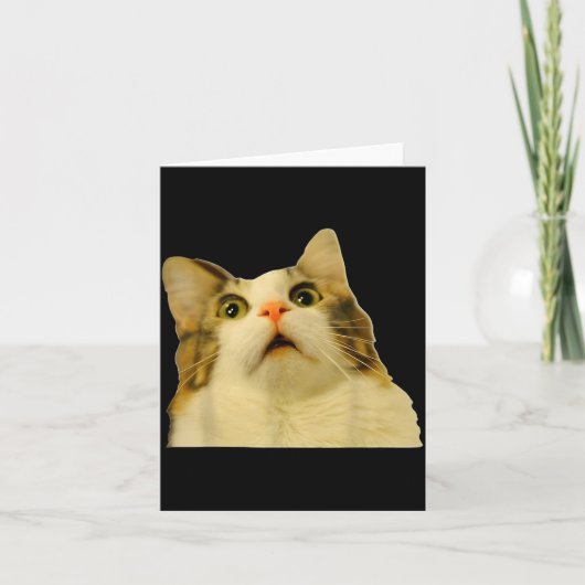 Cat Meme Shock Cat Face Funny Meme Cat Silly Gift  カード (正面)