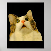 Cat Meme Shock Cat Face Funny Meme Cat Silly Gift  ポスター (正面)