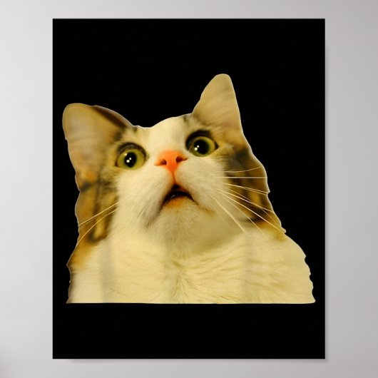 Cat Meme Shock Cat Face Funny Meme Cat Silly Gift ポスター (正面)