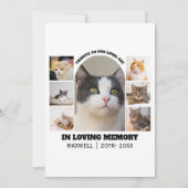 Cat Memorial 7 Photo Collage Pet Tribute Template (正面)
