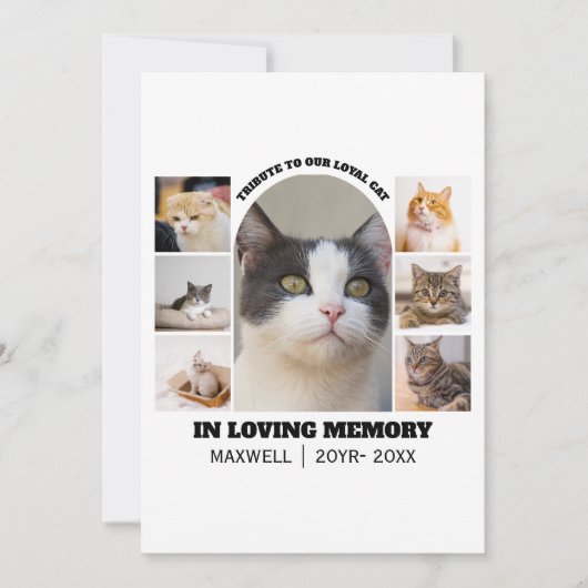 Cat Memorial 7 Photo Collage Pet Tribute Template (正面)