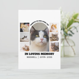 Cat Memorial 7 Photo Collage Pet Tribute Template