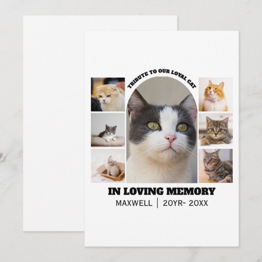 Cat Memorial 7 Photo Collage Pet Tribute Template (正面/裏面)