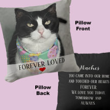 Cat Memorial Photo with Heartfelt Message on Back