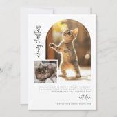 Cat Meowy Christmas Archフォトカード シーズンカード (正面)