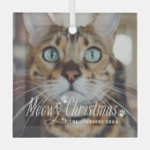 Cat Meowy Christmas Pet Holiday Photo ガラスオーナメント (正面)