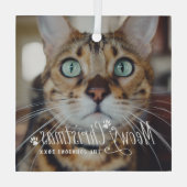 Cat Meowy Christmas Pet Holiday Photo ガラスオーナメント (裏面)