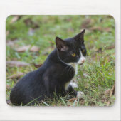Cat Mouse Pad マウスパッド (正面)