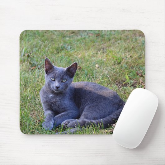 Cat Mouse Pad マウスパッド (マウス)