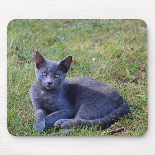 Cat Mouse Pad マウスパッド (正面)
