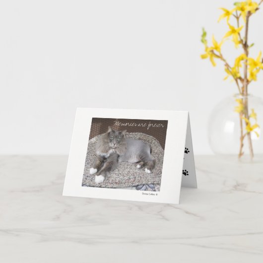 Cat Noteカードの最大数 カード (黄色い花)