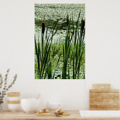 Cat O Nine Tail & White Water Lillysフォトプリント ポスター (キッチン)