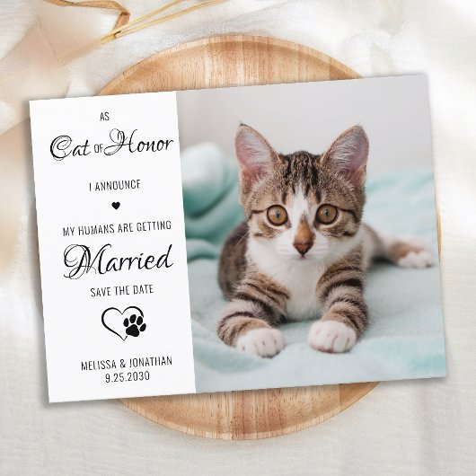 Cat Of Honor Pet 結婚's Photo Save The Date 案内ポストカード