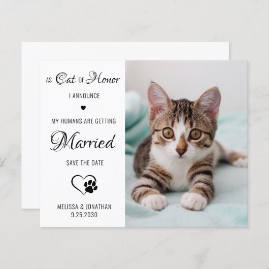 Cat Of Honor Pet Photo Cat Save The Date Cards (正面/裏面)